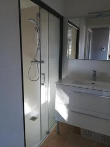 a bathroom with a shower and a sink at Villa Ile de Re avec acces mer du jardin in Rivedoux-Plage