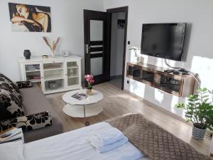 salon z kanapą i telewizorem z płaskim ekranem w obiekcie Apartament Rynek 40m2 Wrocław Stare Miasto we Wrocławiu