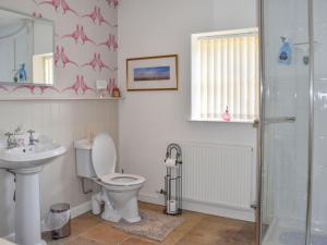 a bathroom with a toilet and a sink and a shower at Ysgubor Blaenparc Barn - Uk41030 in Mydroilin