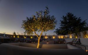 uma árvore no meio de um pátio à noite em OIKOS APARTAMENTOS TURÍSTICOS em Monesterio