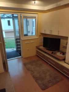 تلفاز و/أو أجهزة ترفيهية في Apartman Anka