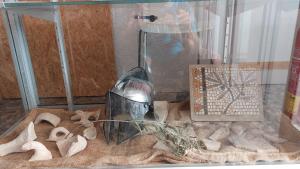 Gallery image of Italica Hostel in Santiponce