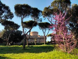 Сад в ZÍ MARIO Suite degli Ospiti - Roma Ostia Antica