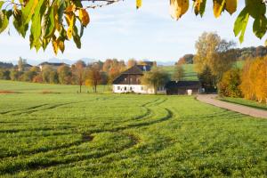 un campo de césped verde con una casa en el fondo en Seehof direkt am See mit Seezugang, 