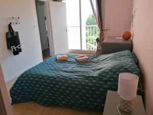 Fotografia z galérie ubytovania Bel appartement de standing idéalement situé v destinácii Toulouse