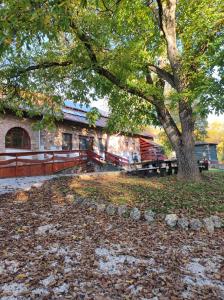 un arbre assis à côté d'un bâtiment avec des feuilles au sol dans l'établissement Holló és Bárány Vendégház, à Herend