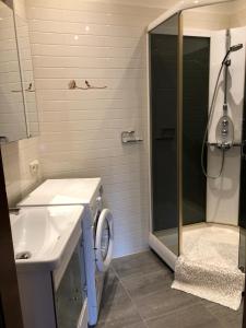 a bathroom with a shower and a sink and a toilet at BestHomeRiga in Riga