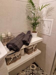 a bathroom with a shelf with towels and a plant at 91WrocLove Apartaments in Wrocław