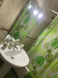 a bathroom with a sink and a green shower curtain at Marisa Mored vivienda de uso Turistico in Laspaúles
