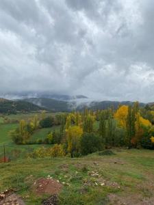 a grassy field with trees in the background at Marisa Mored vivienda de uso Turistico in Laspaúles