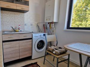 a kitchen with a washing machine and a table at Cozy Studio in Brăila