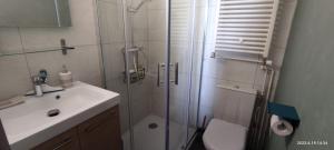a bathroom with a shower and a toilet and a sink at Le petit coin au bord du lac in Doussard +32 photos