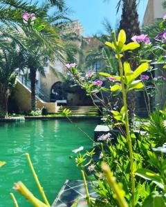 uma piscina de água com palmeiras e flores em Dar Tozeur em Tozeur