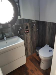 a bathroom with a toilet and a sink and a mirror at exclusives Hausboot "Tante Trost" in Heiligenhafen