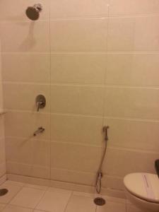 a bathroom with a shower with a toilet at Hotel Arina Inn in New Delhi