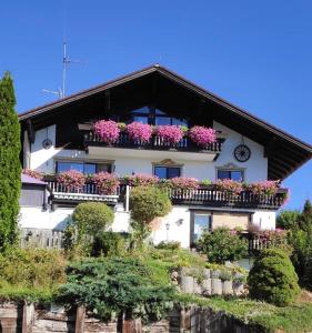 a white building with flower boxes on its windows at Haus Sonnenhang Wohnung 1 in Stiefenhofen