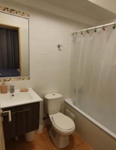 a bathroom with a toilet and a sink and a mirror at Departamento cercano al faro y playa in La Serena
