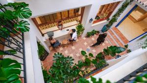 an overhead view of people in a building with plants at Veranera Hostel in Estepona