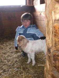 Ospiti di Bio & Reiterhof der Veitenhof con animali domestici