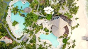 an aerial view of a beach with palm trees at Impressive Punta Cana in Punta Cana
