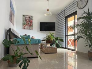 聖克魯斯－德拉帕爾馬的住宿－Casa Fatima，客厅配有盆栽植物和电视