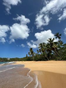 una playa de arena con palmeras y un cielo azul en Ducassi Sol Caribe Beach, en Punta Cana