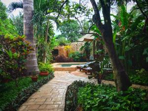 un jardin avec une passerelle en brique bordée de palmiers et une piscine dans l'établissement Casa Tia Micha, à Valladolid