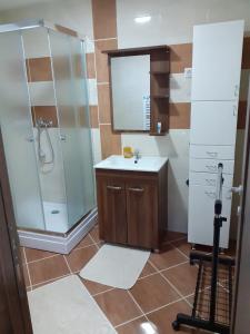 ein Bad mit einer Dusche und einem Waschbecken in der Unterkunft Stan na dan VRŠAC in Vršac