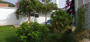 Zahrada ubytování Rancho Blanco Tarifa La peña