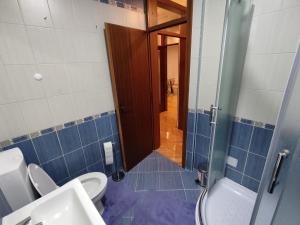 a bathroom with a toilet and a sink and a shower at Apartment Alex in Banja Luka