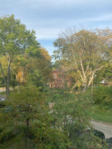 Blick auf einen Park mit Bäumen und eine Straße in der Unterkunft Studio Modlin in Nowy Dwór Mazowiecki