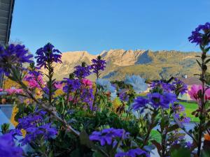 Фотография из галереи Haus Karina в городе Бад-Миттерндорф +20 фотографий
