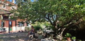 Vonkajšia záhrada v ubytovaní Apartamentos en sierra de gata ALMA