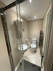 een badkamer met een toilet en een wastafel bij Fuchsia Cottage in Flushing