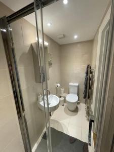 a bathroom with a toilet and a sink at Fuchsia Cottage in Flushing +8 photos
