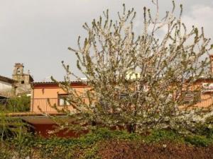 Fotografia z galérie ubytovania Apartamentos en sierra de gata ALMA v destinácii Villamiel