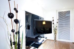 Telewizja i/lub zestaw kina domowego w obiekcie Apartment Giuliano Vienna