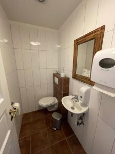 a bathroom with a toilet and a sink and a mirror at Guesthouse Bitra B&B in Selfoss