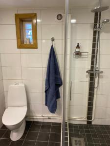 a bathroom with a toilet and a shower with a blue towel at Röda huset in Hallstahammar