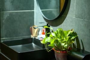 um lavatório de casa de banho com um vaso de plantas e um espelho em Pinky Moon House Măng Đen em Kon Von Kla