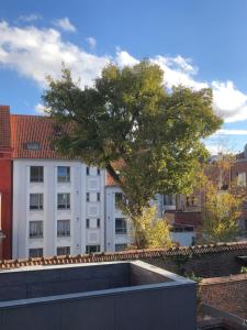 un albero sul tetto di un edificio di Appartement centre ville a Tournai