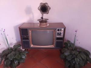 un televisor viejo sentado en una habitación con dos plantas en CASA DE CAMPO LA ALDANA, en Cómbita