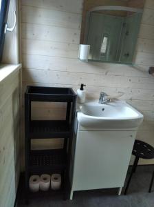 La salle de bains est pourvue d'un lavabo et d'un miroir. dans l'établissement Sowi Stok, à Sokolec
