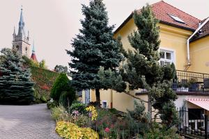 Zahrada ubytování Luxusní apartmán s empírovými freskami v centru Čáslavi