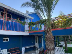 uma casa azul com uma palmeira em frente em Posada Del Valle em Valle de Guadalupe