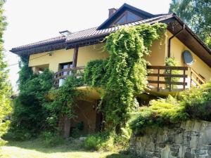 a house with ivy growing on the side of it at Dom na wzgórzu - Brenna in Brenna