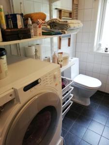 y baño con aseo y lavadora. en Ro - Utsikt-Toppturer, en Kleppstad