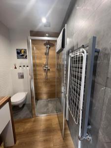 a bathroom with a shower and a toilet at Chcę tu zostać Apartamenty Gdynia in Gdynia