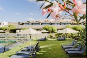 - un groupe de chaises longues et de parasols à côté de la piscine dans l'établissement Ocean View Duplex Tenerife ( Golf del Sur), à San Miguel de Abona