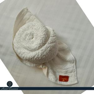 Fotografie z fotogalerie ubytování Hotel ESSENCE v destinaci Vellore